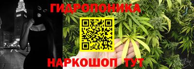 метадон Новозыбков