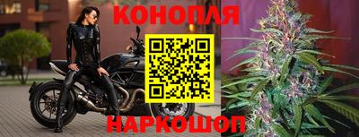 метадон Новозыбков